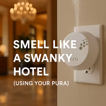 Smell Like a Swanky Hotel (Using Your Pura)